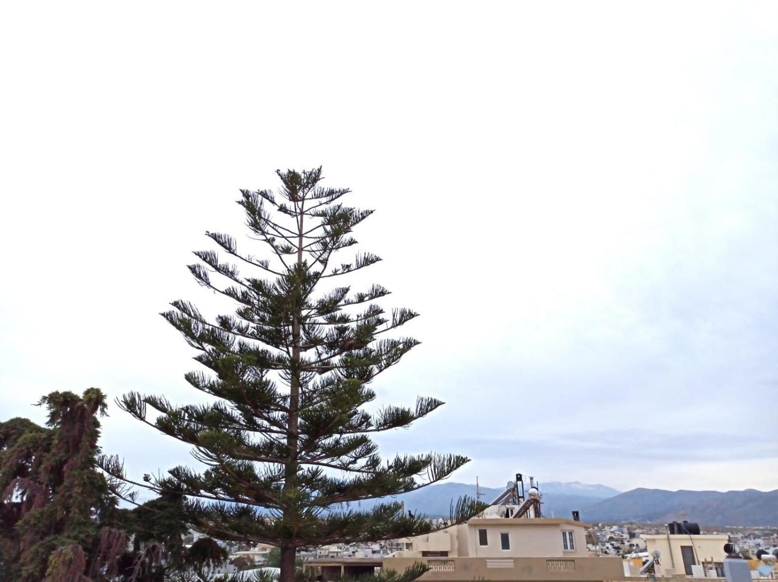 Renovated Loft Near The Center Apartment Heraklion  Ngoại thất bức ảnh